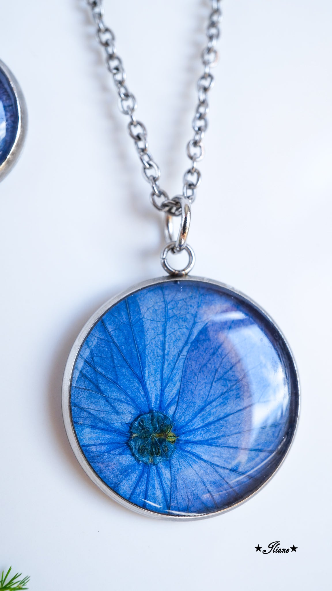 blaue Hortensie - SET Edelstahl silber 0779