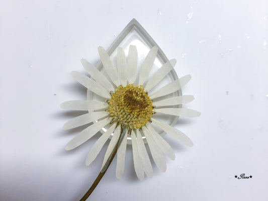 Dein persönliches Erinnerungsschmuckstück mit Haaren oder Fell und Blüten - Kette Tropfen Edelstahl silber, gold oder roségold